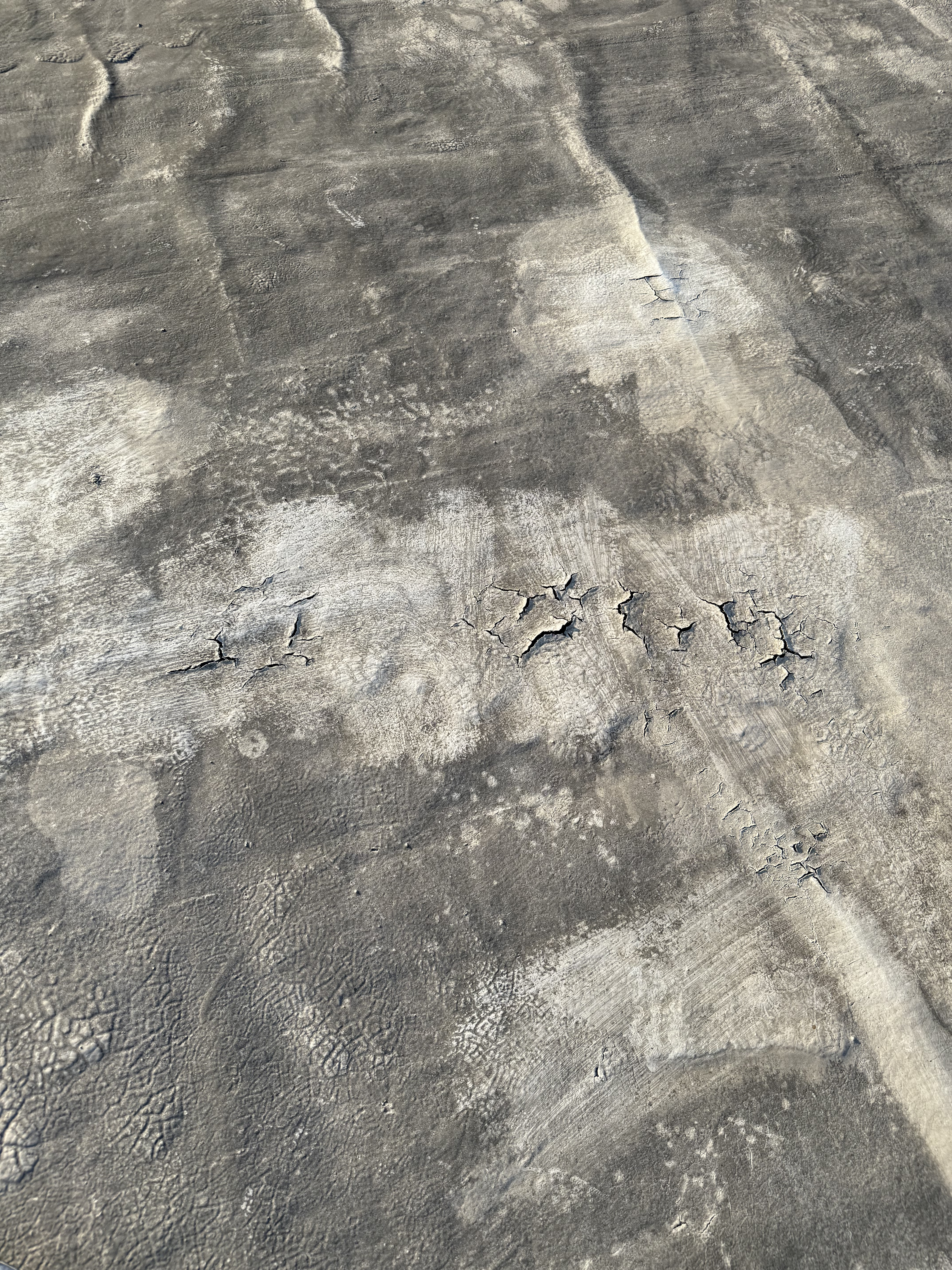 Blister Cracks in Coating May Be Due to Off-Gassing Pressure Build Up from Coal Roof