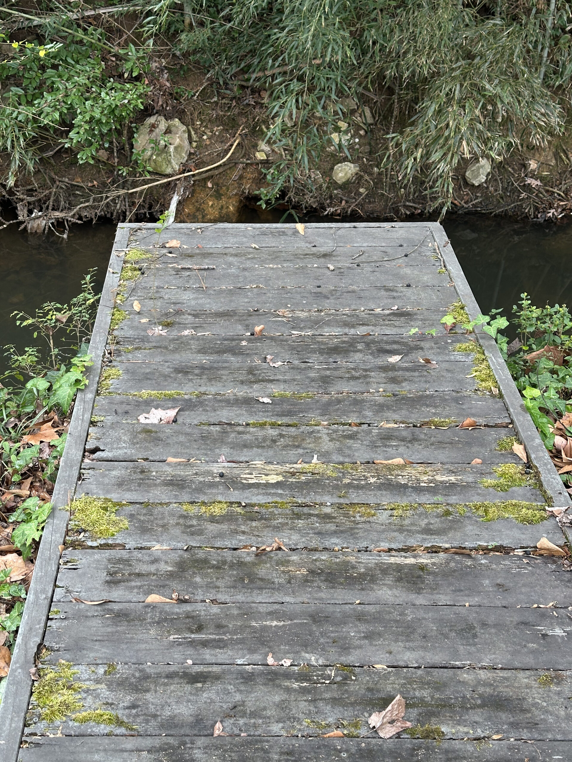 Creek Deck