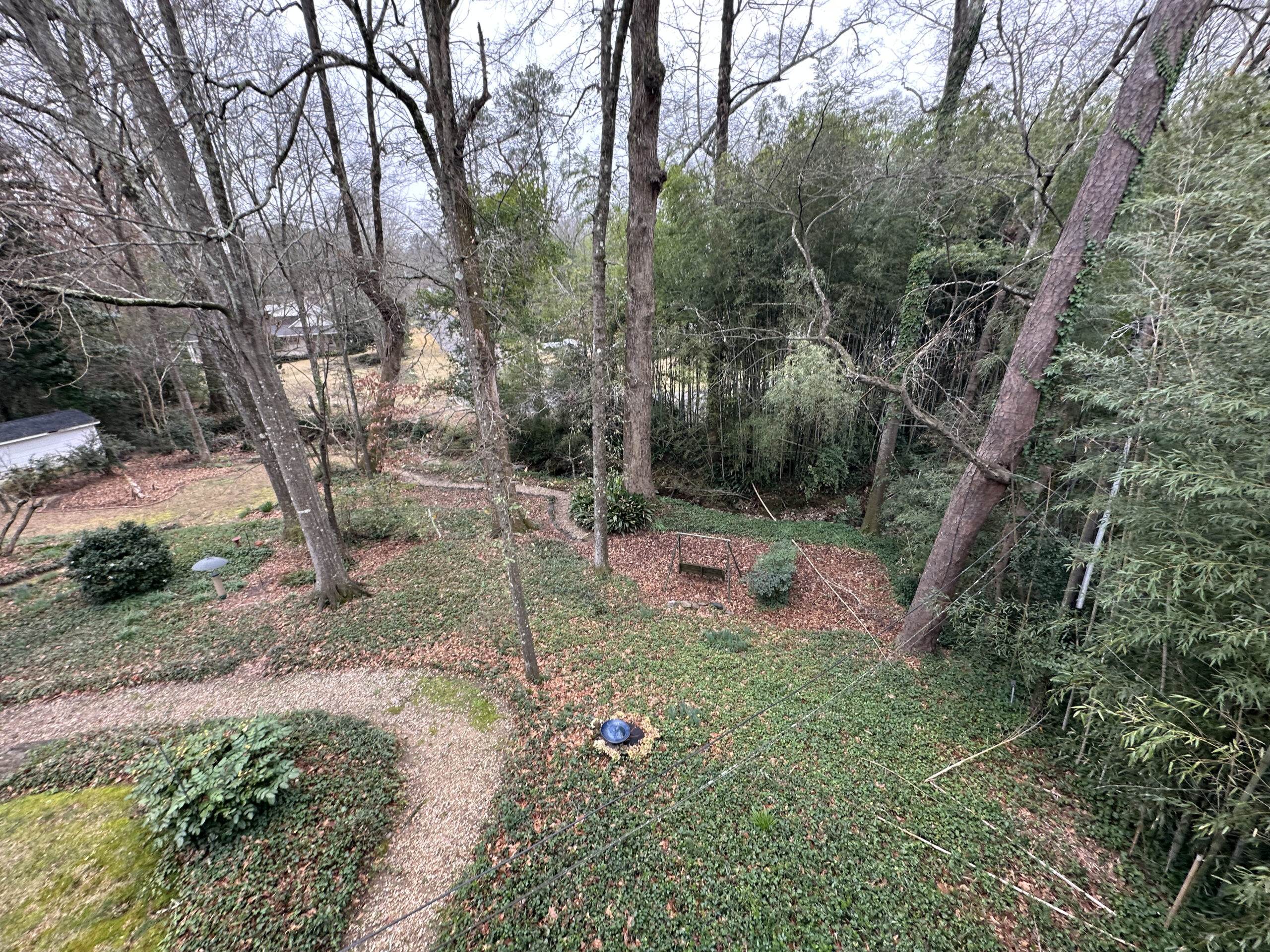 Backyard Overview